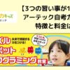 【3つの習い事を1つに】自考力キッズとは?特徴と料金
